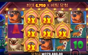 똑똑 더도그하우스 똑똑