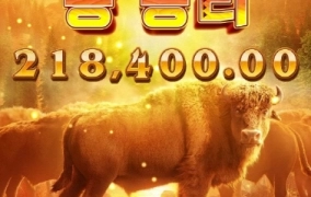 재미있게 놀고는 있는데 올라가지를 못함