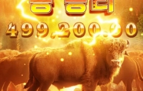 팔로 개꿀 말꿀 ㅎㅎㅎ