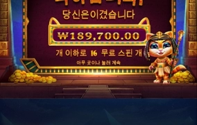 고양이는 사랑입니다 ㅎㅎ