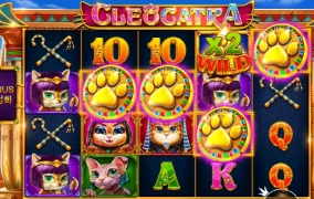 4발 설례엿다 젠장할 ㅋㅋ