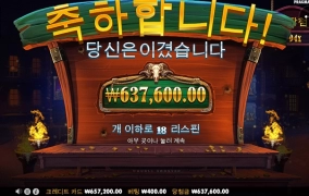 스핑크스 1500배 후기