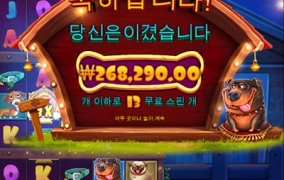 강아지 새벽산책