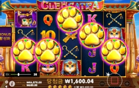 클레오케트라 보너스 진입 5발바닥