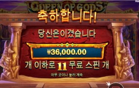 퀸갓 보너스는 자주 들어가는데 배당이 아쉽네