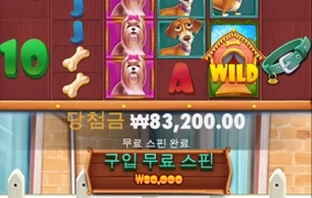 강아지 새벽산책