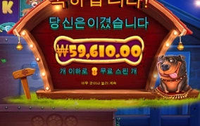 이른아침 강아지산책