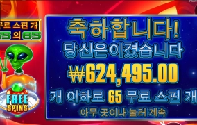 오호~ 10충 60환 굿샷