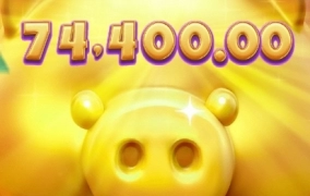 남들은 피지에서도 잘먹던데 나는 왜이럼?