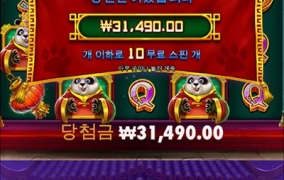 판다 새로나온거 하는중인데 고민이네요