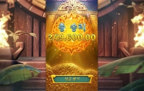 피지 소소하게 잘놀고 갑니다