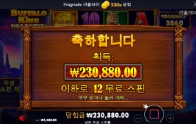 버팔로 킹 230배  후기