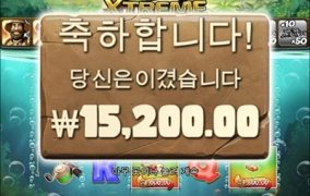 배스새로나온거