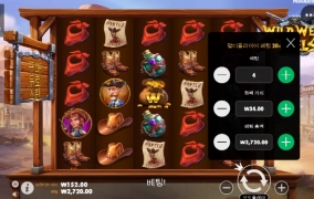 와일드 웨스트 오링