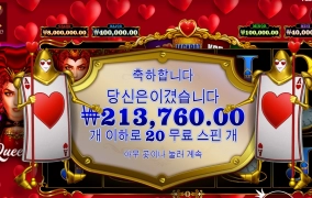 퀴니 21만 개이득