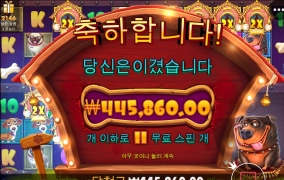 멍멍이 하우스 후기