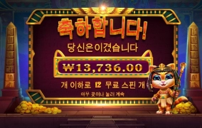 오늘은 고냥이가 미쳤다