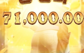 피지- 와일드 바운티  후기