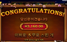 사무메가 건드는게 아니었는데 덴장