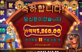 도그 하우스 후기