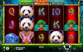 판다도 예전같지 않네