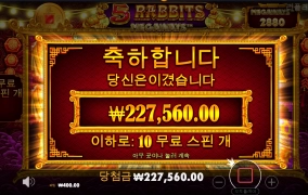 사자로 그렇게 잃었는데 아직 미련이 있는건가??