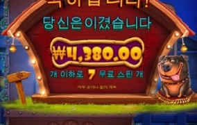 아오 진짜 개시키들 된장 바른다