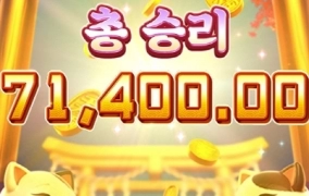 오늘 출발은 행운의 네코짱