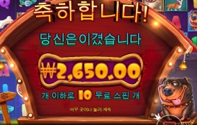 오랜만에 개집 돌려봤는데