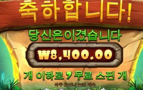 모험은 안하는걸로..