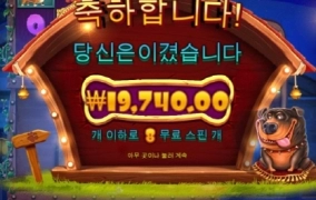 개시키들 진짜 너무 하네요