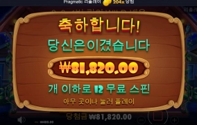 도그하우스 후기