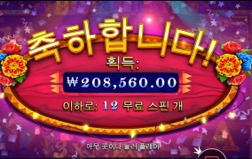 핫피에스타 후기