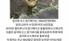 종족번식을 위해 ㅅㅅ머신이 됨