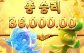 오늘 시작은 피지 달달하게 가보자