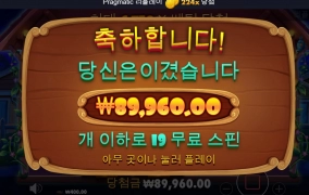 도그하우스 후기