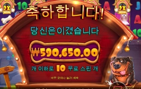 역시 개집이네요