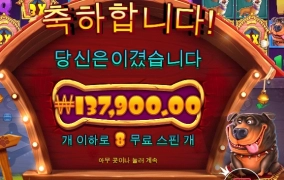 역시 댕댕이밖에 없네요 ㅎㅎ