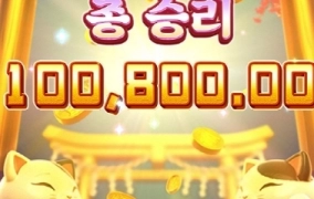 피지 일진 네코