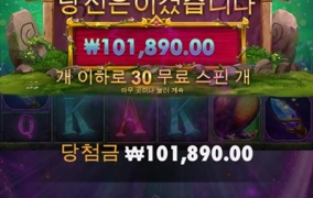 이렇게 먹은적도 있는데...