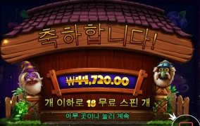 문샷 요고 소액으로 돌리기 좋은듯