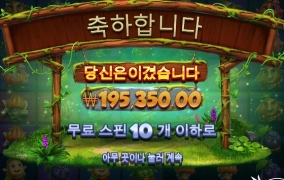 후르츠 오브 더 아마존 후기