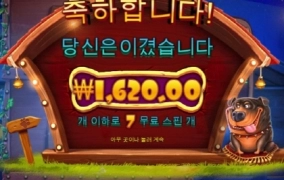 개시키들 진짜 너무하네