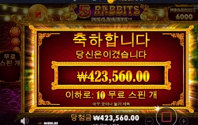 간만에 토끼로 복귀~5래빗