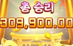 요근래 빠진 슬롯 네코짱