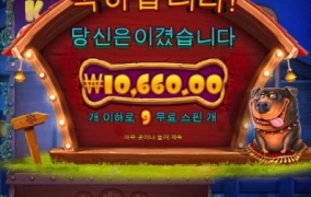 나쁜개는 없다고 배웠는데 나한테는 왜이러는건지