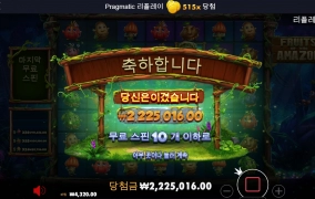 후르츠 아마존 대박 후기