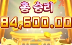 오늘 시작은 피지로 ㄱㄱ