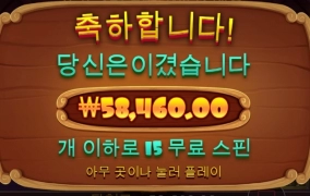 소액으로 댕댕이만한게 없는듯