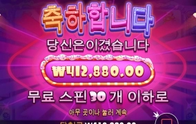 슈가러쉬 추가스핀20개